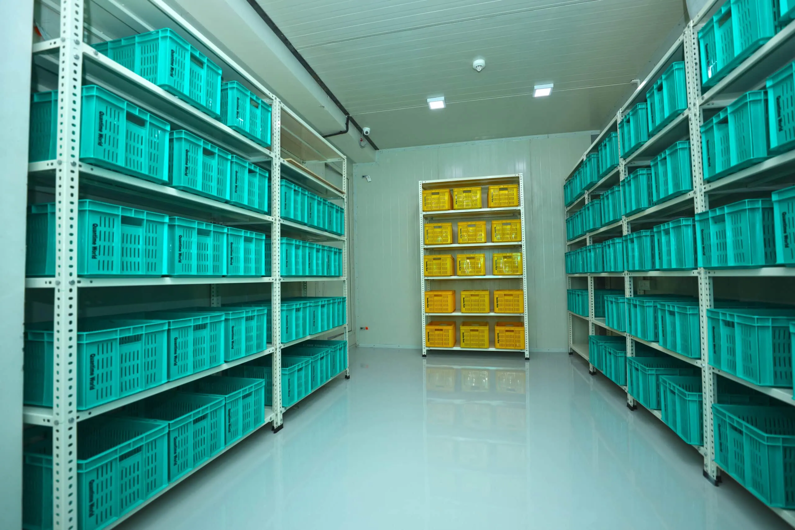 Organized bin-based cold storage